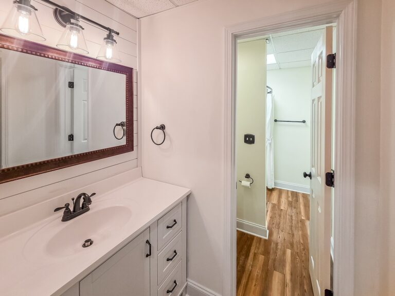 Basement full bath with a white vanity, shiplap wall and a separate shower and toilet room at 1030 Billy Mantle Lane