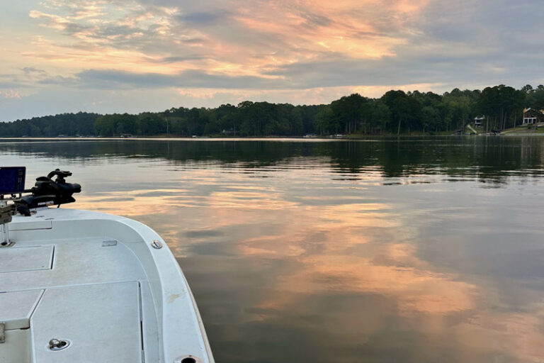 Catfish caught on Lake Oconee, Georgia