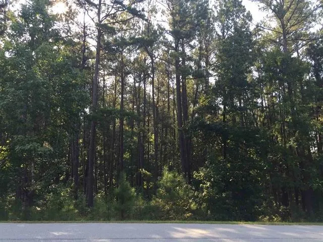Listing photo of 1311 Big Water Circle Lot 32, Greensboro, GA 30642