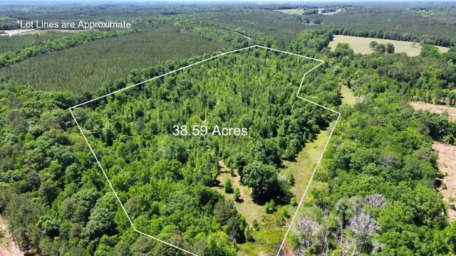 Listing photo of 38.59 acres Leslie Mill Road Parcel 2, Greensboro, GA 30642