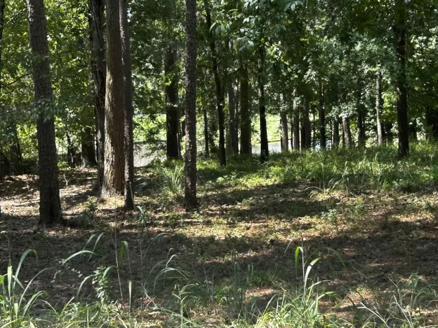 Listing photo of 1191 Lake View Court Lot 4, Greensboro, GA 30642
