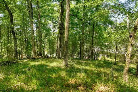 Photo 2 of 1000 Curtright Place Lot 37A, Reynolds Lake Oconee