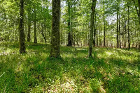 Photo 3 of 1000 Curtright Place Lot 37A, Reynolds Lake Oconee