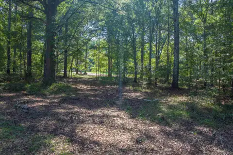 Photo 5 of 236 Broadlands Drive Lot 27, Reynolds Lake Oconee