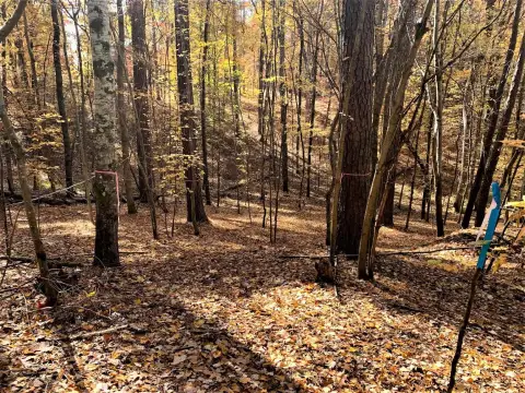 Photo 2 of 1520 Snug Harbor Drive Lot 22, Reynolds Lake Oconee