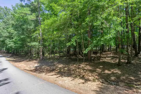 Photo 2 of 2721 Parrotts Pointe Road Lot 119, Reynolds Lake Oconee