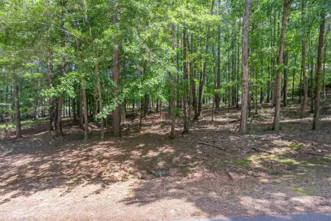 Photo 3 of 2721 Parrotts Pointe Road Lot 119, Reynolds Lake Oconee