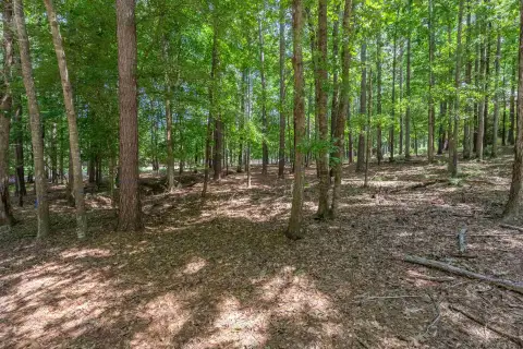 Photo 5 of 2721 Parrotts Pointe Road Lot 119, Reynolds Lake Oconee