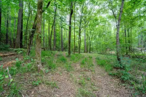 Photo 5 of 1411 Northwoods Drive Lot 6, Northwoods, Lake Oconee
