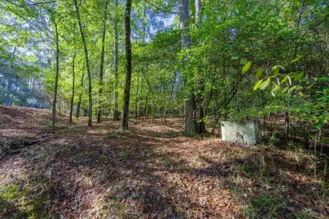 Photo 3 of 1030 Snug Harbor Court Lot 25, Reynolds Lake Oconee