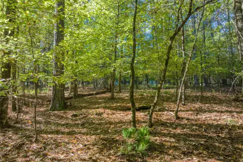Photo 4 of 1030 Snug Harbor Court Lot 25, Reynolds Lake Oconee
