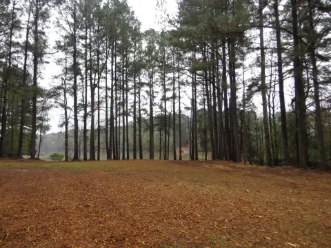 Photo 3 of Sugar Creek Trail Lot 10, Sugar Bend, Lake Oconee