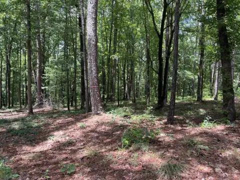 Photo 3 of 1577 Pullman Lane Lot 3, Eagle View, Lake Oconee