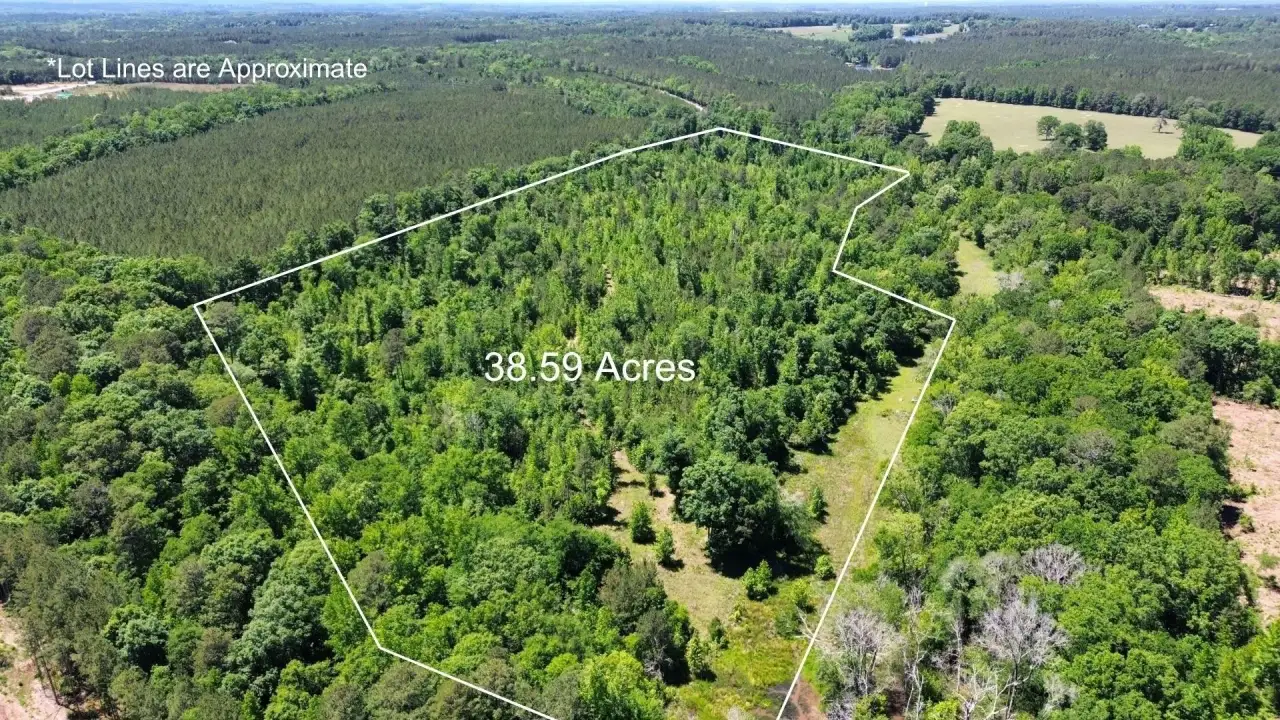 38.59 acres Leslie Mill Road Parcel 2, Greene County, Lake Oconee