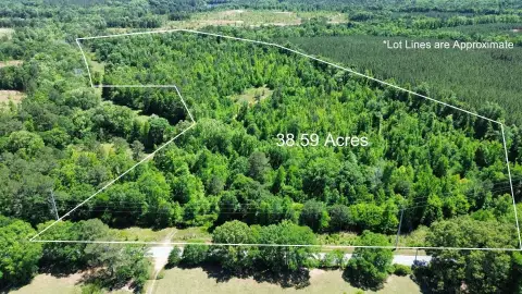 Photo 2 of 38.59 acres Leslie Mill Road Parcel 2, Greene County, Lake Oconee