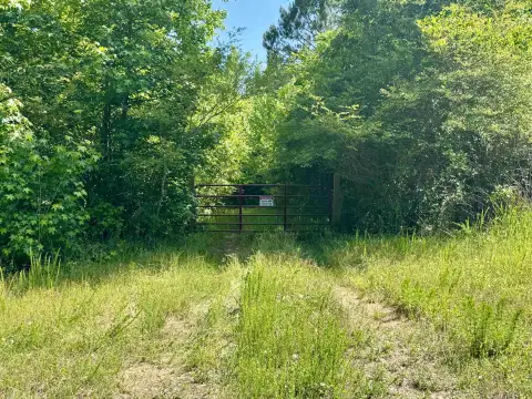Photo 3 of 38.59 acres Leslie Mill Road Parcel 2, Greene County, Lake Oconee