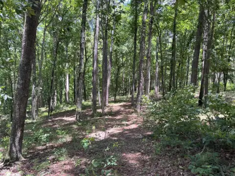 Photo 4 of Lots 1 & 2 Pullman Lane, Eagle View, Lake Oconee