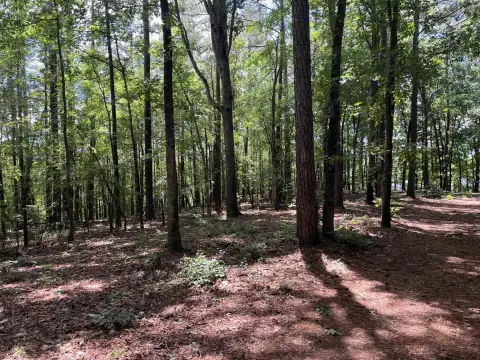 Photo 4 of 1595 Pullman Lane Lot 4, Eagle View, Lake Oconee