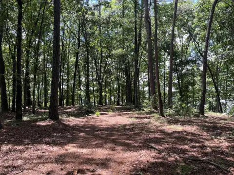 Photo 5 of 1595 Pullman Lane Lot 4, Eagle View, Lake Oconee