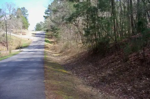 Photo 4 of 1360 Northwoods Drive Lot 131, Northwoods, Lake Oconee