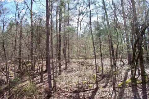Photo 5 of 1360 Northwoods Drive Lot 131, Northwoods, Lake Oconee