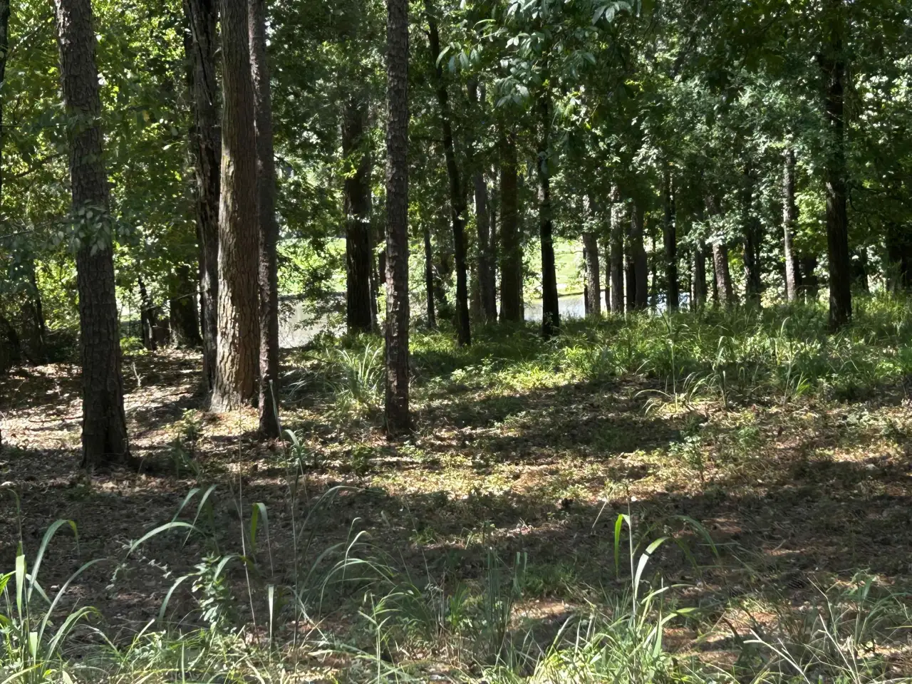 1191 Lake View Court Lot 4, Reynolds Lake Oconee