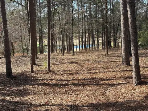 Photo 5 of 1191 Lake View Court Lot 4, Reynolds Lake Oconee
