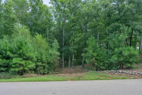 Photo 4 of 1090 Lumbering Creek Lot 138, Reynolds Lake Oconee