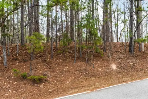Photo 4 of 251 Winding River Road, Timberlake Cove, Lake Oconee
