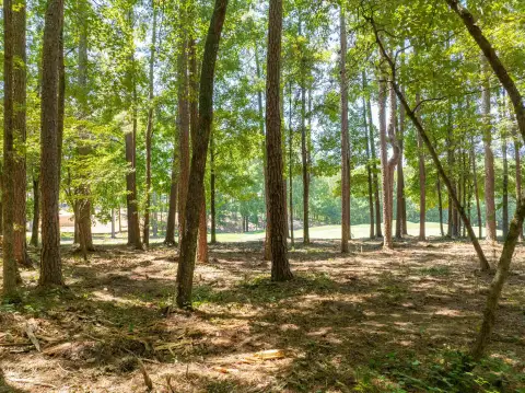 Photo 5 of 1011 Anchor Bay Trail Lot 21, Reynolds Lake Oconee