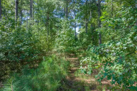 Photo 5 of 132 Porterfield Drive Lot 35, Reynolds Lake Oconee