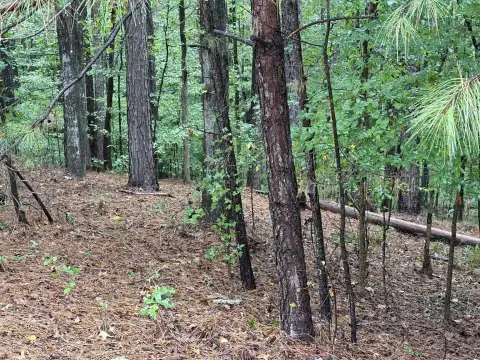 Photo 3 of 1011 Callahans Ridge Road Lot 100, Reynolds Lake Oconee