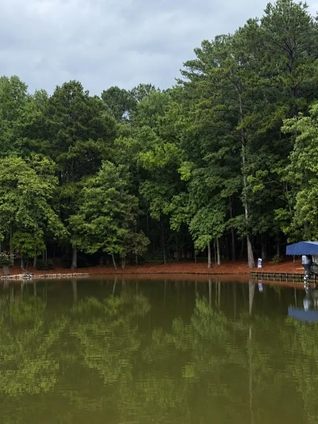 Listing photo of 1290 Tal Lewis Road Lot 5, White Plains, GA 30678