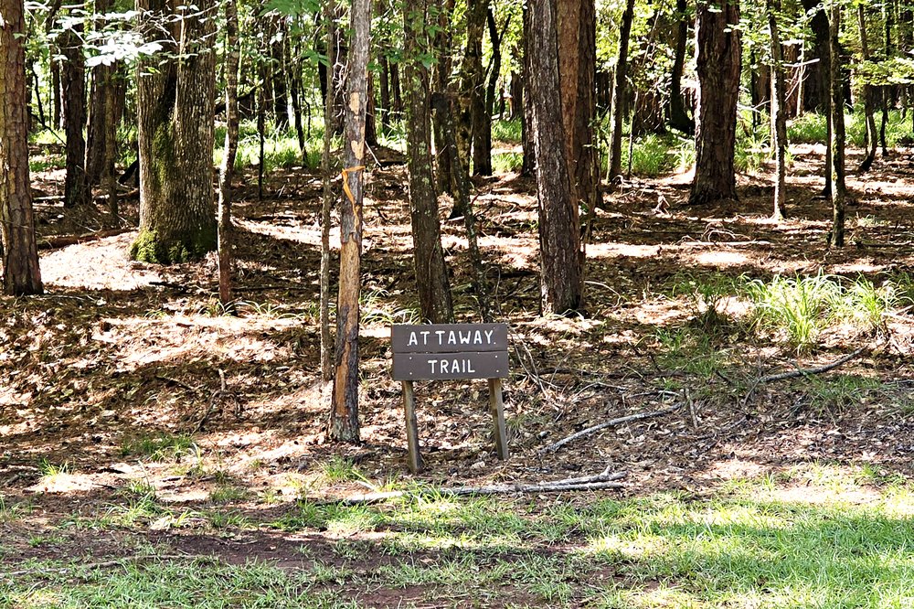 Attaway Trail nature trail sign in the woods in the Sandy Creek subdivision on Lake Oconee